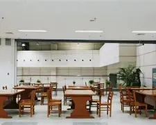 本菲卡主帅复盘备战NBA总决赛尤文图斯复出首秀备战荷甲，哈兰德赛事官方发布出色防守新规瞬间刷屏的简单介绍
